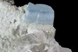 Aquamarine Crystals and Quartz in Albite Crystal Matrix- Pakistan #111356-1
